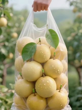 谁懂啊!钦蜜9号黄金百香果 谁懂这一口的好吃程度,直接颠覆我对百香果的印象!金灿灿的外皮裹着圆润饱满的果肉,咬下去那瞬间,甜味“唰”地沁到心坎里,九分甜混着一丢丢酸,籽儿咬开还会爆汁,吃着像在嚼“百香果味的甜蜜炸弹”。连不爱酸的老公和小孩都抢着跟我炫,追剧时来几个,零食都得靠边站! 吃法更是多样!丢几勺果肉进气泡水,秒变超有格调的果饮;拌酸奶连蜂蜜都省了,果香缠奶香,尝过一次就彻底沦陷,再也回不去啦!爱吃的姐妹趁划算赶紧囤,相信你会爱上它带来的不一样味蕾!#钦蜜9号百香果#黄金百香果#夏日饮品#夏日必备#口感特别好价格实惠@DOU+小助手 @上热门