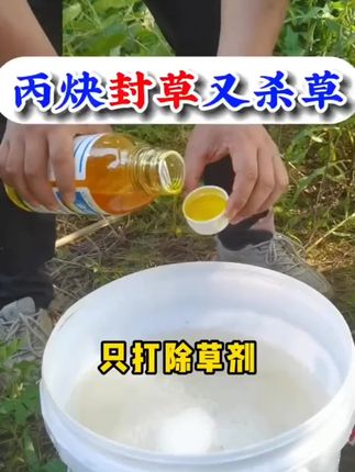 #封闭剂#丙炔氟草胺