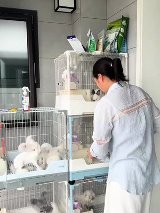 #新手养兔#养兔注意事项 ##兔子驱虫 #兔子