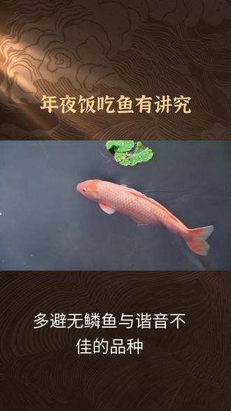 #年夜吃鱼有什么讲究#年夜饭 #鱼获满满 #吃鱼油的好处 @抖音小助手.