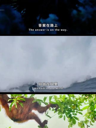 中秋灯笼