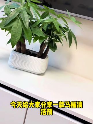 #好物推荐🔥 #居家必备 #强烈推荐 #家居生活 #必备好物