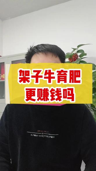 🤔架子牛育肥真能多赚钱?养殖户必看!💡成本、周期、利润全解析,看完就懂!#架子牛育肥 #养牛养羊 #三农养殖
