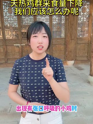 天热鸡群采食量下降我们应该怎么办#三农#农村散养土鸡#科学养鸡#鸡鸭鹅养殖