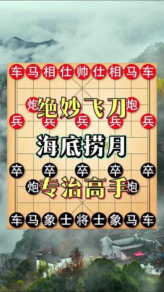 绝妙飞刀之《海底捞月》
#象棋 #象棋残局 #象棋高手 #象棋布局 #象棋破局