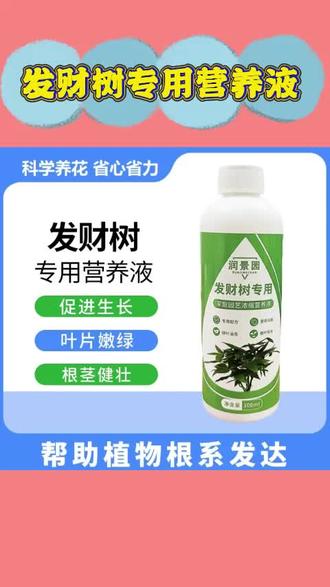 【发财树专用】家庭园艺发财树专用营养液水培生长土壤烂根氮肥#发财树营养液