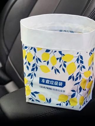 车载垃圾袋车立袋幼儿学生宿舍粘贴式家用车用车上#车载垃圾袋 #汽车垃圾袋 #车载立式垃圾袋 #爆款热卖中