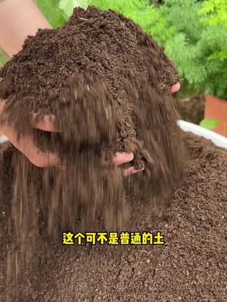 中秋节前后养花种菜就要施肥了,羊粪肥好帮手,肥力大不烧苗,同时还能改良疏松土壤#羊粪有机肥#羊粪#内蒙古羊粪有机肥#果蔬专用#厂家发货