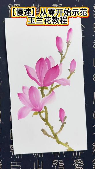 【慢速】从零开始示范玉兰花教程,零基础小白可跟画学习 #百young非遗计划 #零基础学画画 #非遗守护人 #简笔画 #安之国画