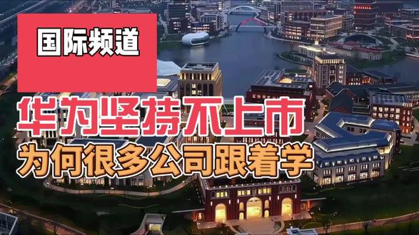 坏了都被带歪了,华为坚持不上市,大家都跟着学#知识 #国际 #文化