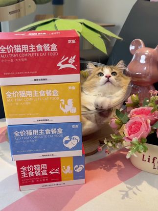 夏天真的很适合给猫咪吃主食餐盒,营养补水又胖腮#猫咪主食罐 #猫罐头 #猫咪好物 #欢鱼