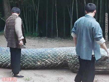 两个傻傻的差点送命 #精彩片段分享