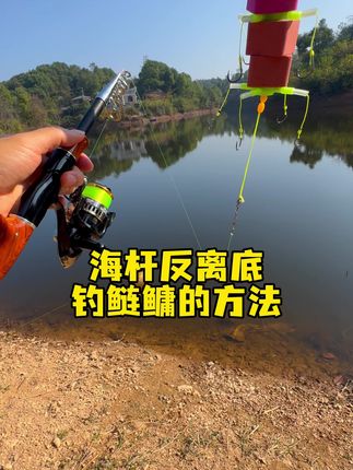 海杆反离底钓鲢鳙的方法 #钓鱼#反底钓鲢鳙#海杆钓鱼
