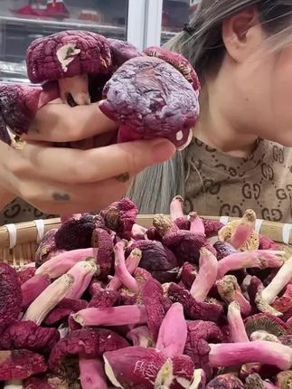 广西浪水菇