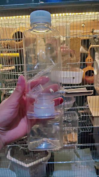 饮料瓶自制鸟食盒#鸟食盒 #自制 #珍珠鸟