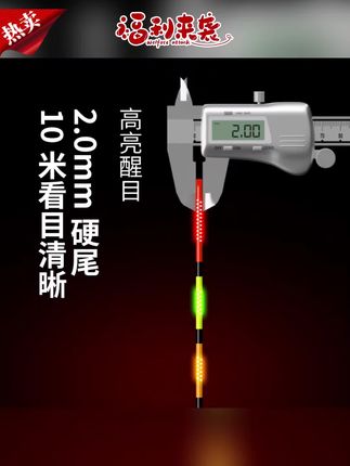 变色电子漂推荐#电子漂#夜光电子漂#高灵敏电子漂#变色电子漂#醒目电子漂 福翼浮漂黑猫OLED硬尾鲢鳙夜光漂日夜用鱼漂高灵敏醒目变色电子漂