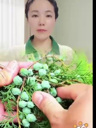 柏子仁#柏子仁 #零食推荐 #休闲零食推荐 #休闲零食网红零食