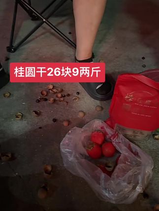 桂圆干26块9两斤下面小黄车直接拍@抖音小助手
