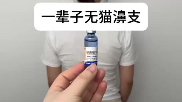 猫濞 支上岸很简单#猫鼻支#猫咪#猫咪打喷嚏#新手养猫#养猫经验分享