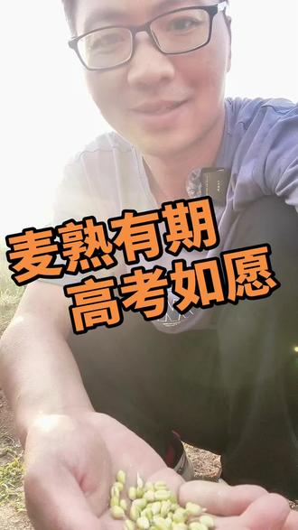 农家手搓麦仁,小时候的味道! #手搓麦仁 #小时候味道 #老式美食 #童年味道