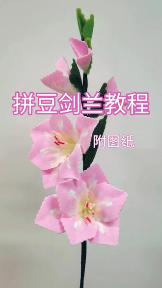 拼豆教程|剑兰(附图纸) 图纸在视频最后,也可进群自取#拼豆花束 #拼豆教程 #拼豆图纸