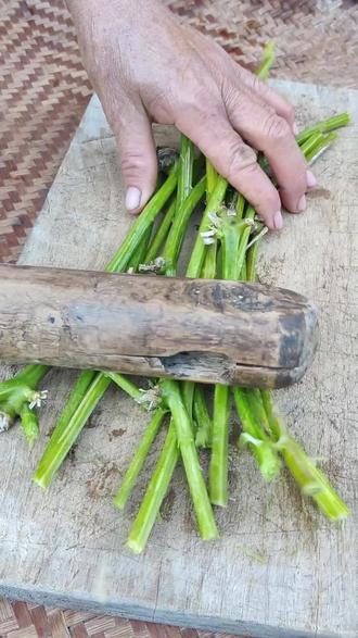 丝瓜藤 别扯去当柴烧了 #植物科普 #涨知识 #内容启发搜索