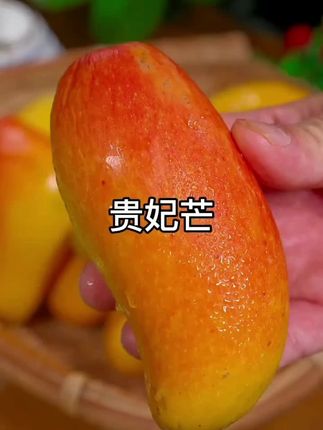 夸孩子也是一门学问要用对方式,不然只能适得其反。#亲子教育 #育儿 #家庭教育 #父母课堂 #干货分享