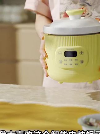 全自动快炖陶瓷电炖锅