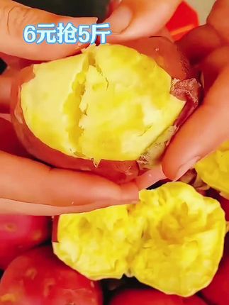 陕西沙土地板栗红薯#新鲜采摘 #软糯香甜