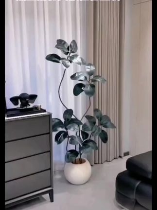 黑金刚仿真客厅室内沙发旁边假树植物仿生盆栽大型橡皮树落地摆件#仿真花摆件#摆件客厅#客厅装饰#客厅摆件#客厅装饰品
