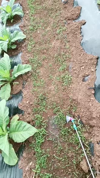 什么狗屁的520通通都跟我无关