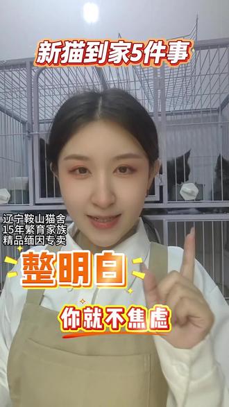 新人养猫该准备些什么?#缅因猫 #新手养猫