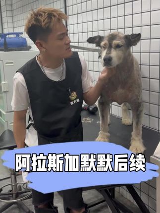 宠小哥(21号直播带你们看亚宠展)