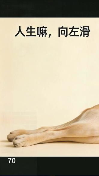 《重生萌宝四岁半,渣爹请接招》 #红果短剧#重生萌宝四岁半渣爹请接招Xzy7-无-无-wdy-竖-16250