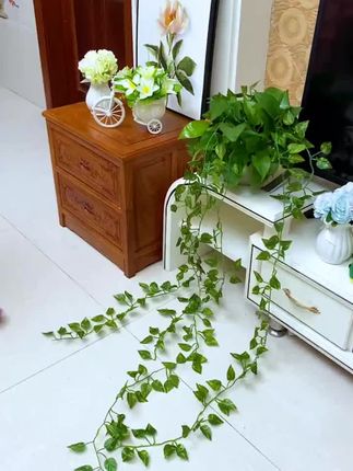 #绿箩固定器 #实用好物 #好物推荐🔥