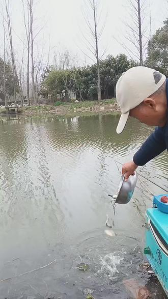 #钓鱼的乐趣只有钓鱼人懂 #钓点王 视频左下角或抖音搜“钓点王小程序”输口令 331171 查钓点