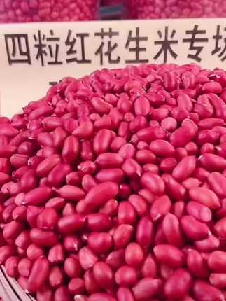 东北特产四粒红去壳红皮生花生米新鲜5斤3斤#东北特产四粒红#好东西一起分享 #好物推荐🔥