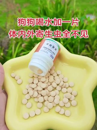 #养殖人加油 #科学养宠攻略 #狗狗 #猫狗驱虫 #养狗的乐趣