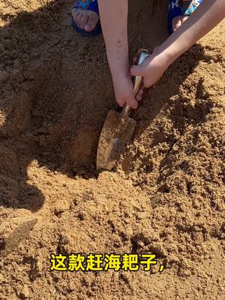 赶海铲子,赶海工具#赶海 #户外赶海抓海鲜 #赶海生活