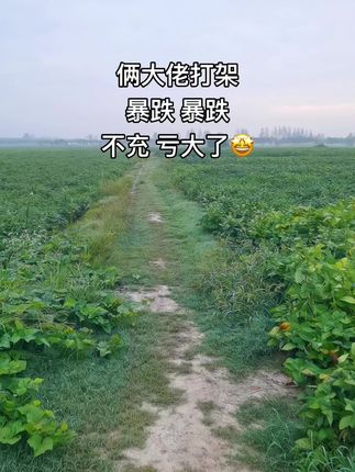 #自然风光美如画 #天然氧吧 #大自然#乡间小路自然风景 #庄稼地里好风景