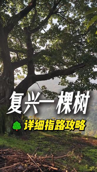 达州复兴镇百年古树怎么走?路线攻略 #达州 #复兴一棵树 #复兴古树 #8万88起大满配朗逸Pro