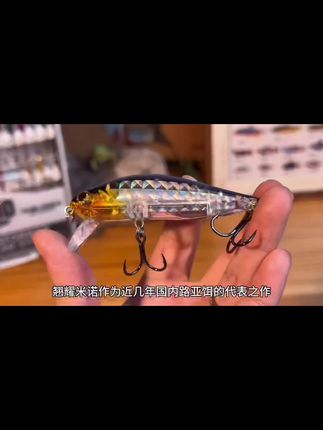翘耀路亚假饵颤沉水米诺聚光噪音淡水翘嘴鲈鱼鳜鱼饵#翘耀米诺#翘耀路亚假饵 #米诺#路亚假饵 #路亚翘嘴
