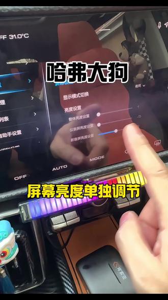 仪表中控屏幕亮度单独调节教程来了!学会点关注。#热门 #每天一个用车知识 #哈弗大狗 #哈弗大狗改装 #男人的玩具