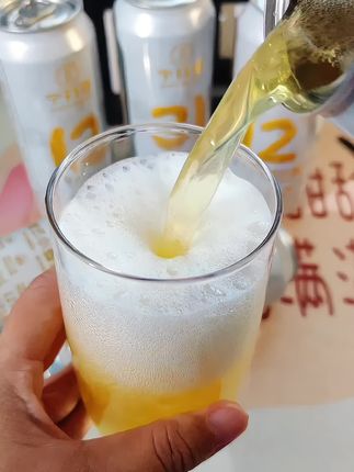 宁芬堡全开盖德式小麦白啤精酿啤酒500ml*6罐整箱白啤送礼袋~热度#啤酒推荐#精酿啤酒#口感非常好
