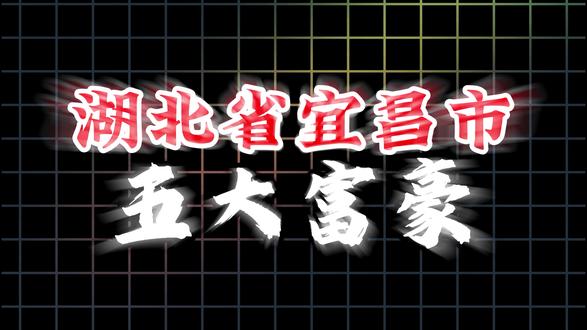 湖北省宜昌市5大富豪 #上热门🔥#富豪#富豪榜#湖北#宜昌