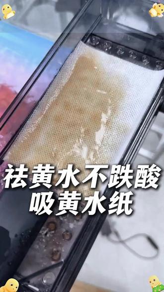 养鱼必备鱼缸吸黄纸快速去水黄吸附杂质无残留MDA汽车防虫网#鱼缸用品 #吸黄纸 #养鱼必备 #水质清洁 #水族好物