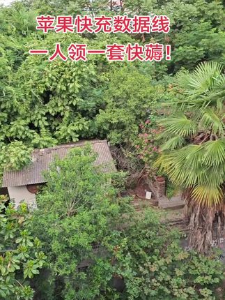 #苹果充电器 #苹果数据线 #苹果快充 #数码科技#科技