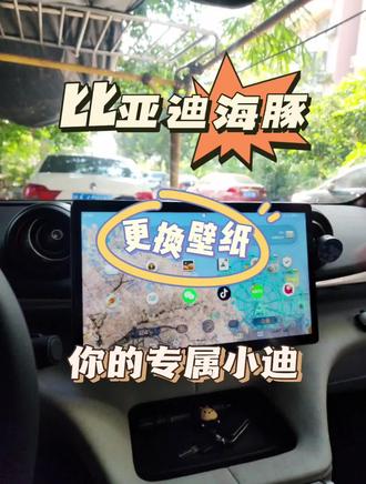 比亚迪海豚更换车机壁纸,快来设置你的专属小迪吧##比亚迪 #比亚迪海豚 #用车小常识 #汽车隐藏功能 #新能源汽车
