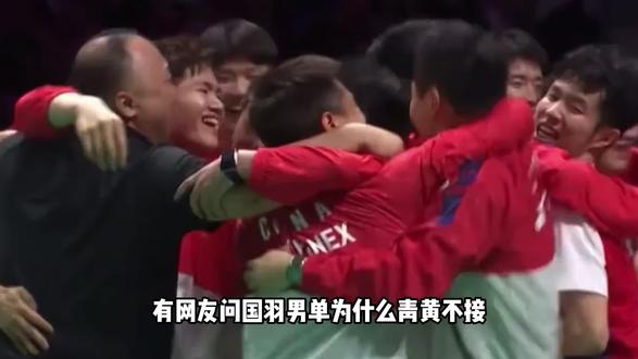 有网友问国羽男单为何青黄不接 有人表示是因为林丹太强 #林丹 #国羽 #羽毛球 #羽毛球剪辑