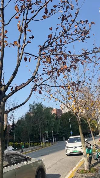 记住历史 警钟长鸣#城市一角 #城市